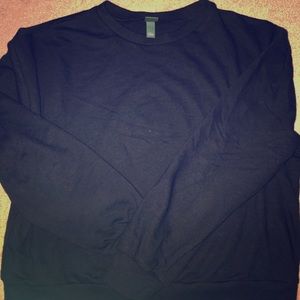 Wild Fable Crop Sweater